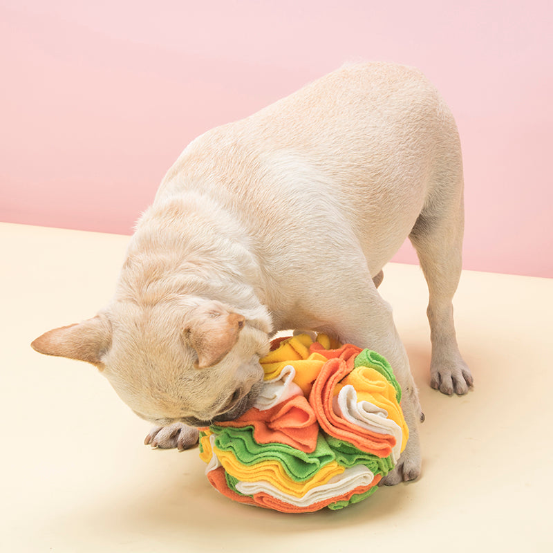 Snuffle Ball Interactive Dog Toys/ Brain Mental Stimulating Puzzle Toys for Dogs Enrichment/ Machine Washable (Color Options)