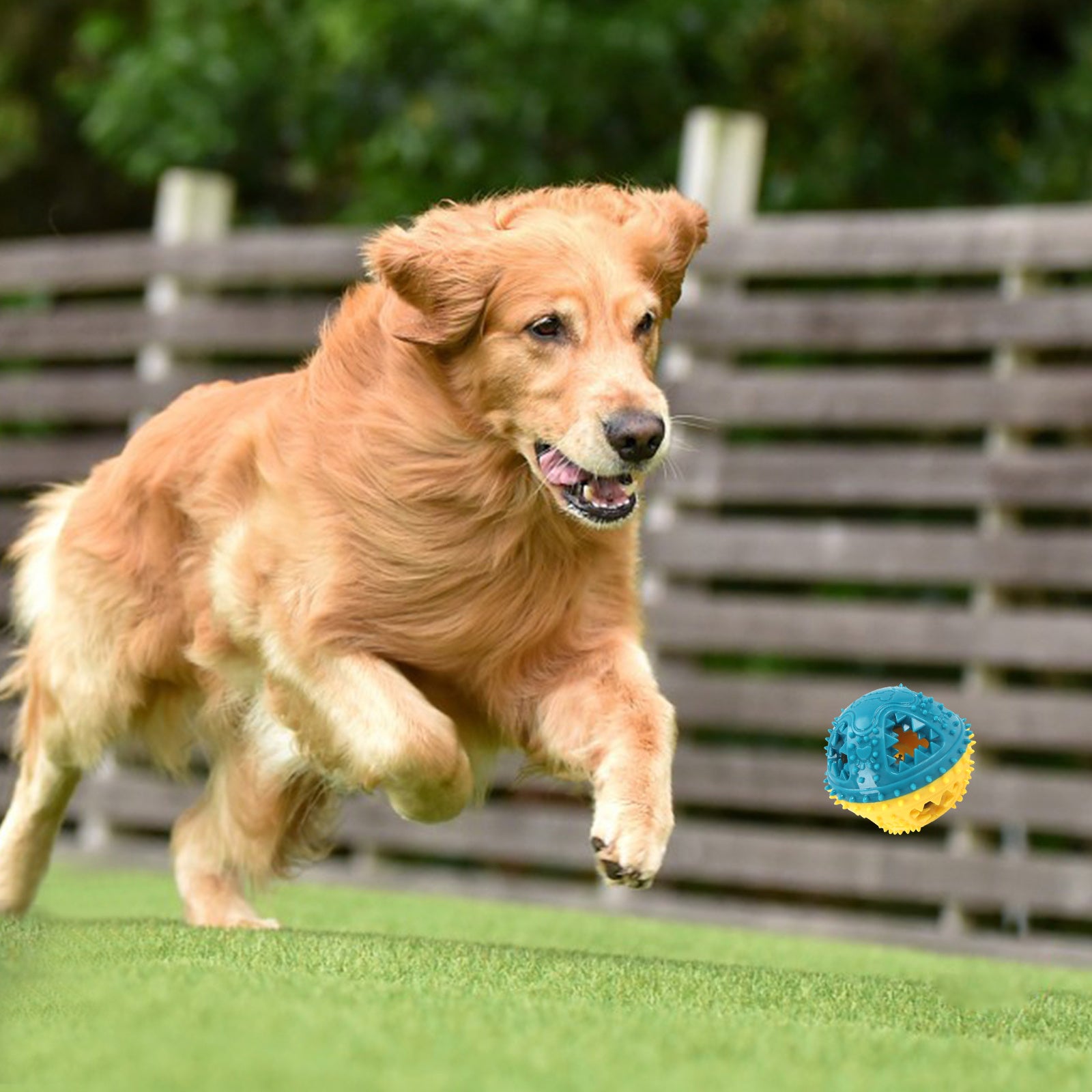 Dog Chew Toys Grinding Teeth Sound Ball