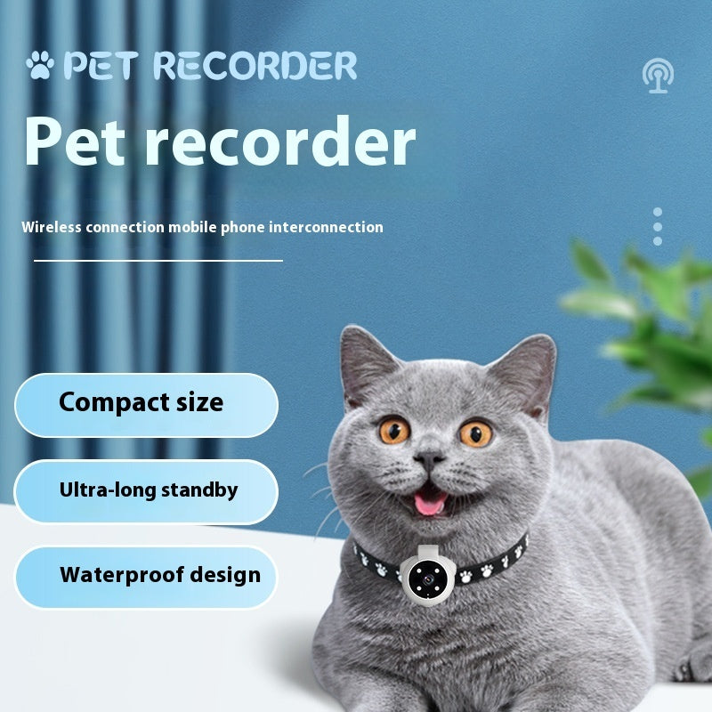 Dogs And Cats Viewing Angle Motion Recording Camera Action