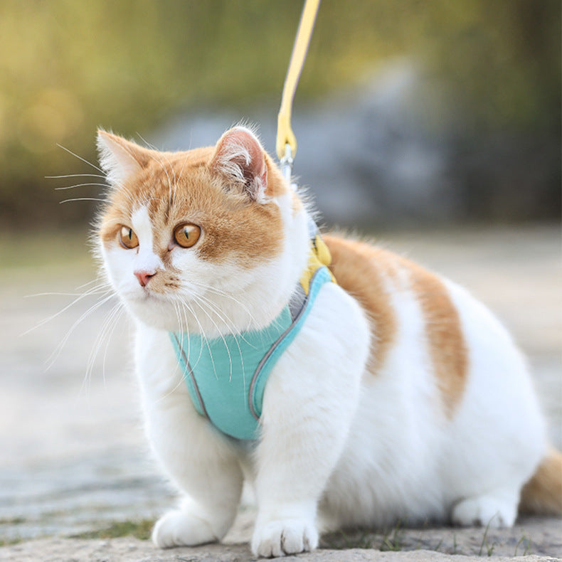 Cat Traction Rope Home Vest-Style Chest Harness