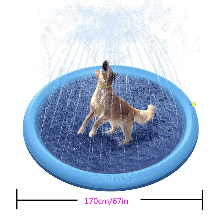 Thickened Pet Water Spray Mat