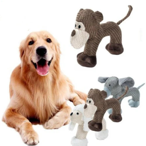 Dog Chew Toys/ Interactive Squeak Dog Toy (Options)