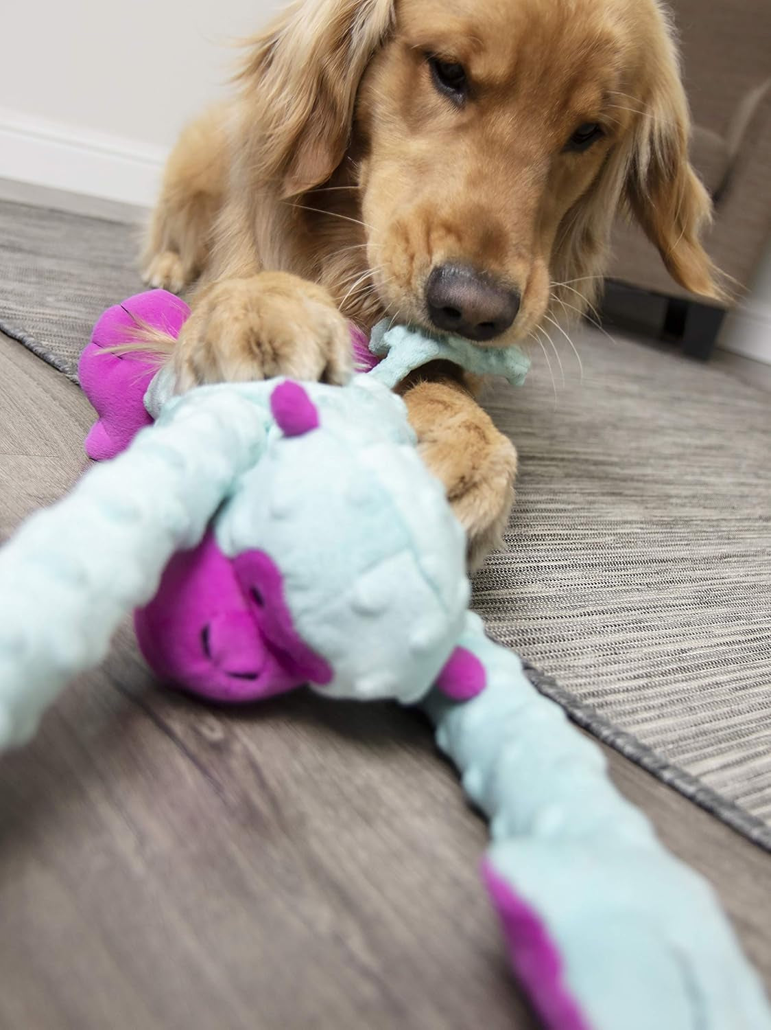 Crazy Tugs Large Turquoise Monkey Squeaky Plush Tug Dog Toy with Chew Guard Technology