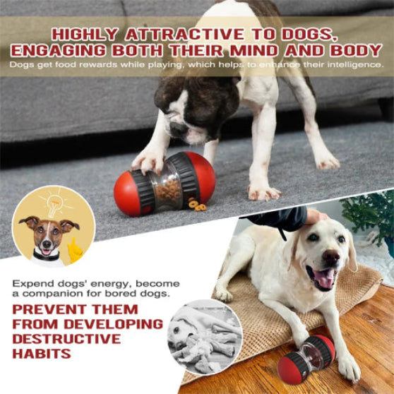 Most Interactive and Durable dispensing feeder Dog Toy
