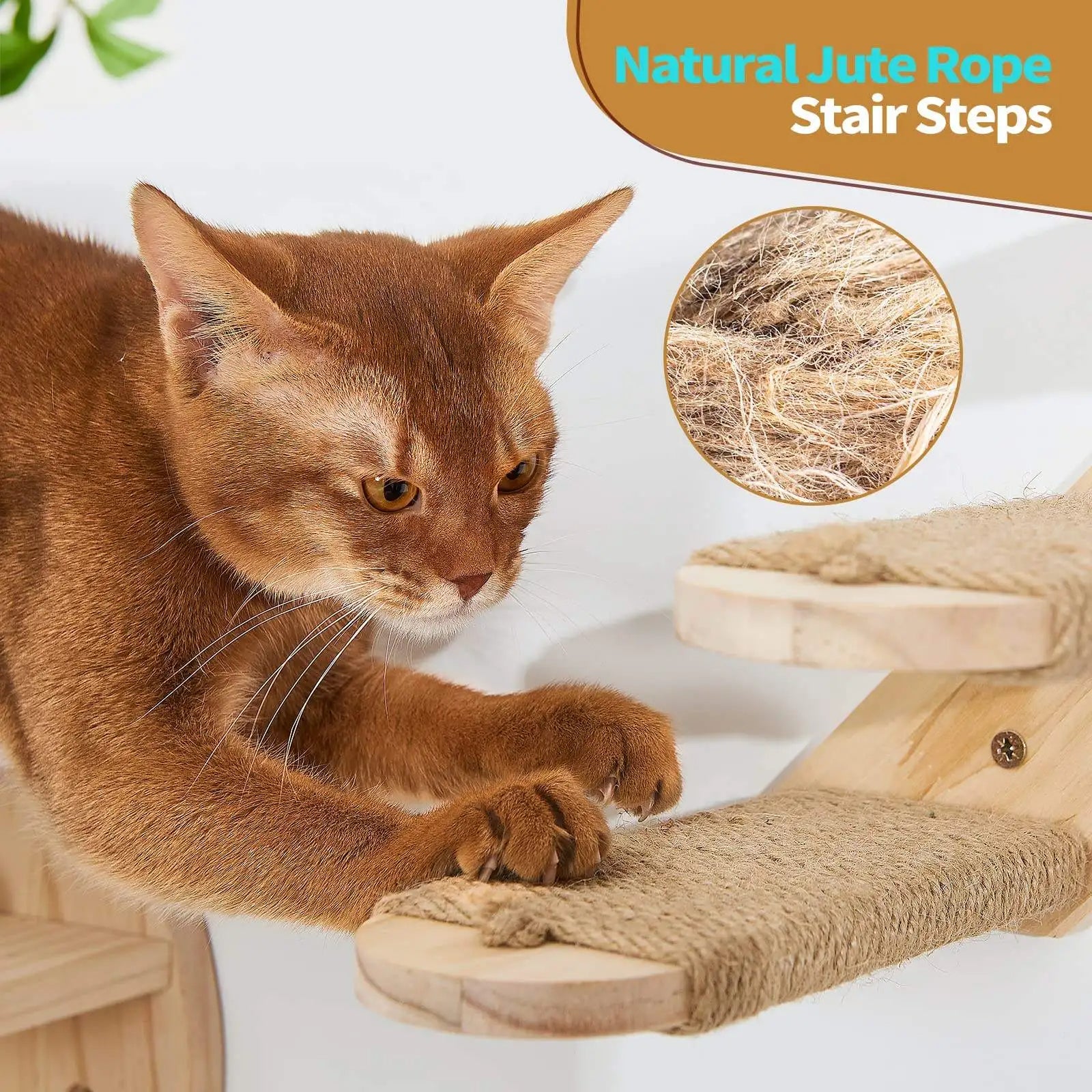 Wall-Mounted Cat Shelves & Climbing Set