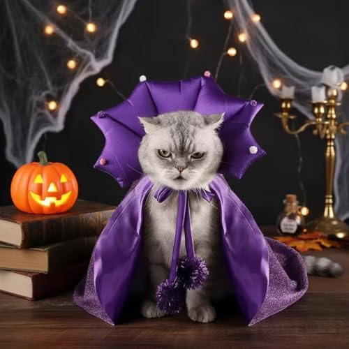 Cat Halloween Costumes & Cat Cape Vampire Cloak Halloween Dog Costume