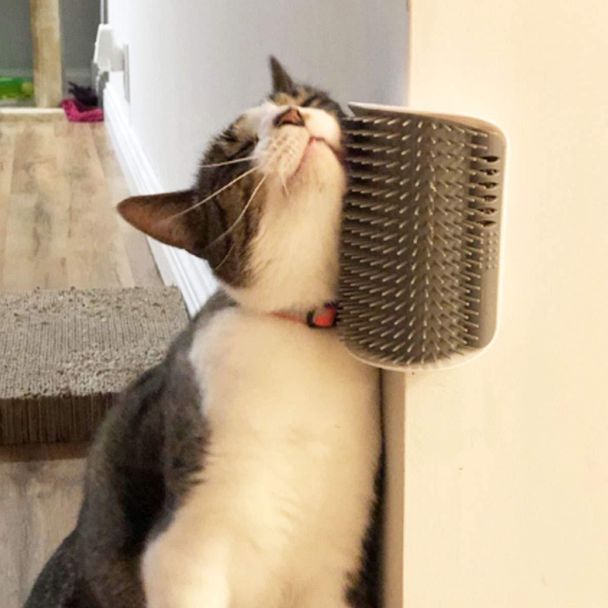 Cat Self Groomer Arch and Wall Corner Brush for Shedding and Massage