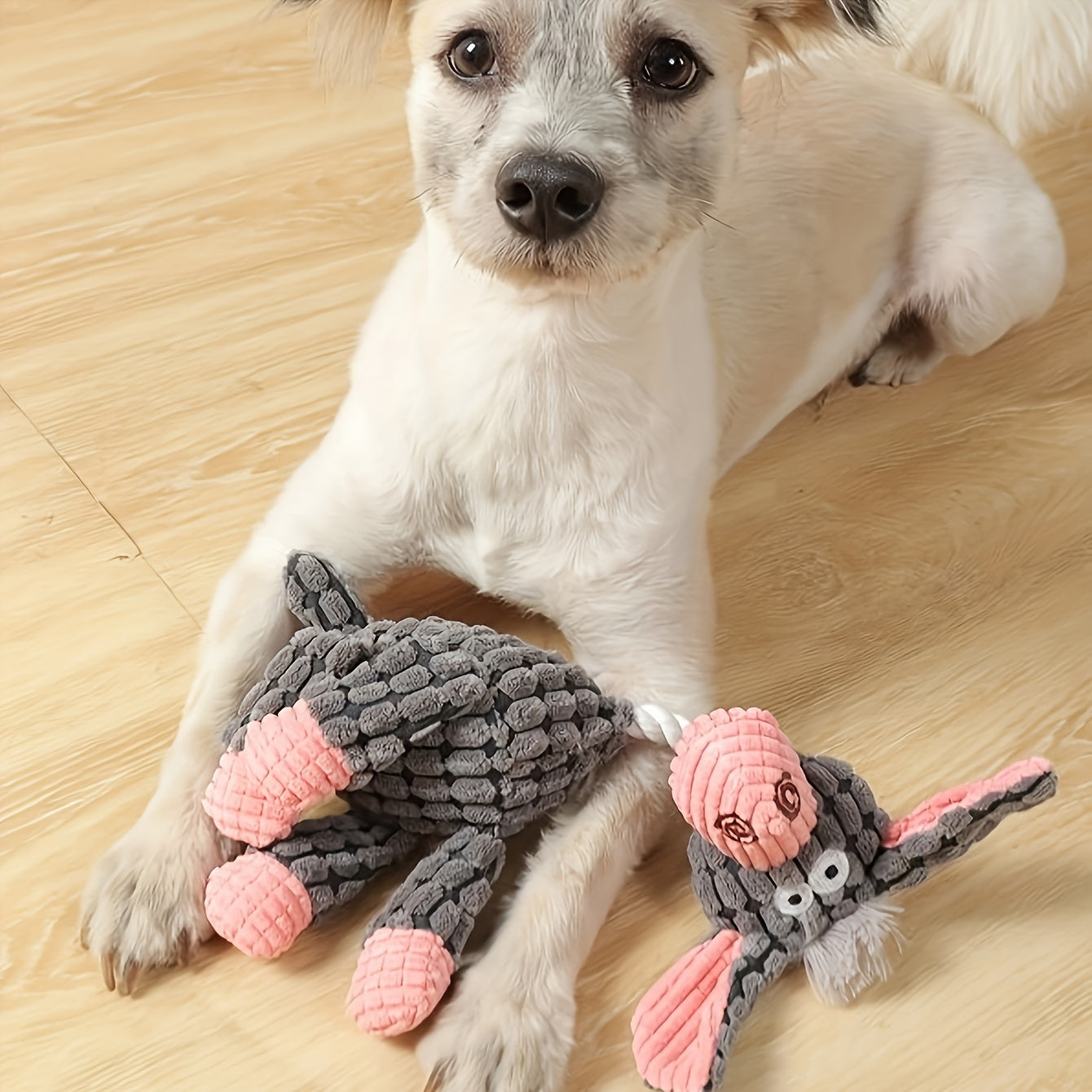 Squeaky Dog Toy Pack/ Cute Soft Durable Stuffed Animal Plush Toys with Squeakers (Options)