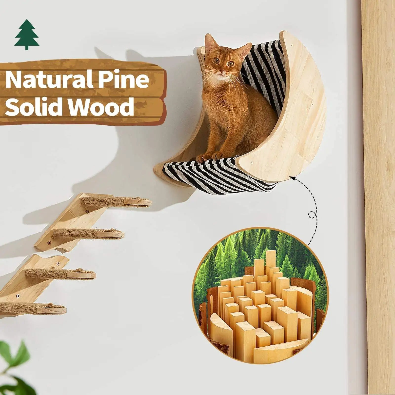 Wall-Mounted Cat Shelves & Climbing Set