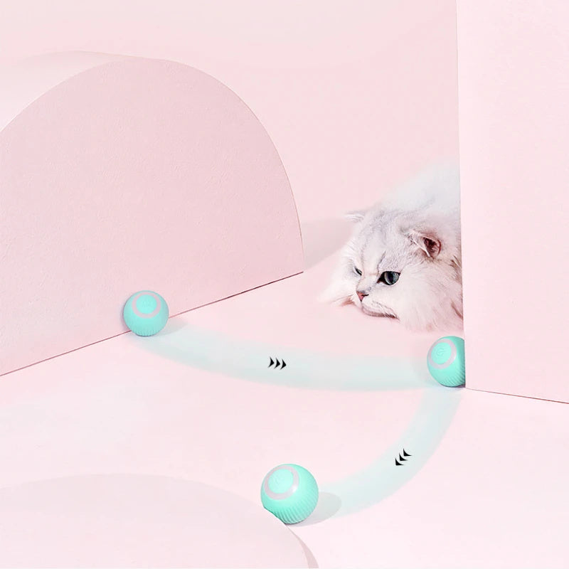 Remote Control Cat Chase Toy