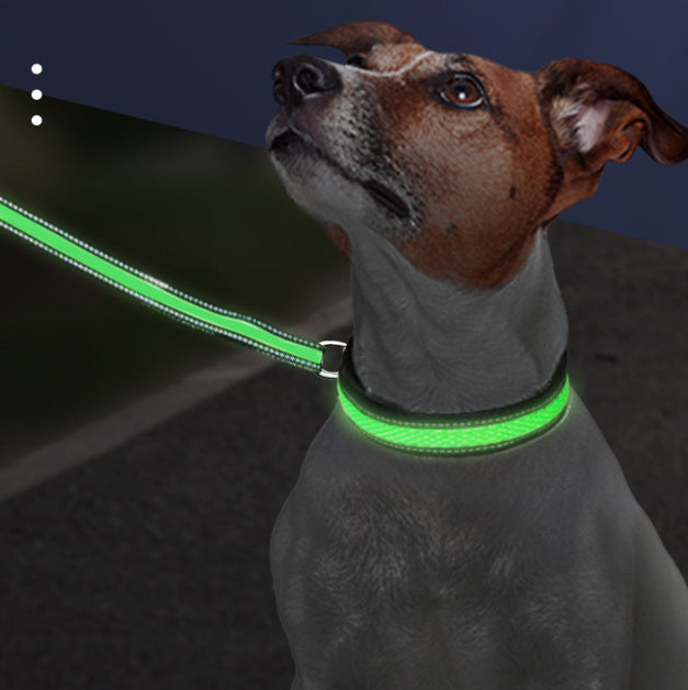 LED Luminous Waterproof Nylon Pet Collar with Type-C Charging