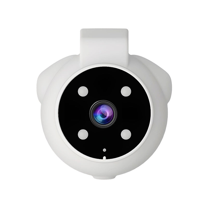Dogs And Cats Viewing Angle Motion Recording Camera Action