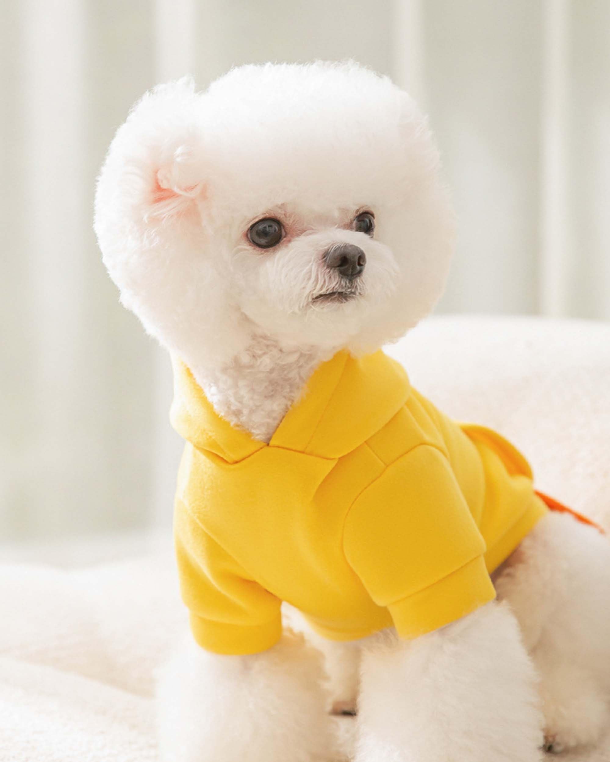 Halloween Pet Chicken Costume Outfits for Small Dog
