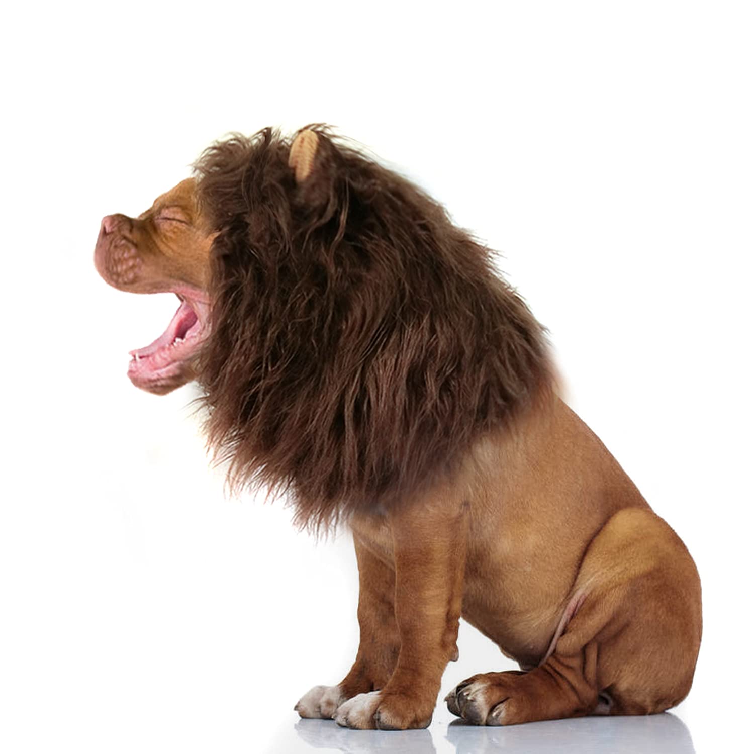 Lion Mane Wig for Dogs with Ears, Funny Pet Costumes for Halloween