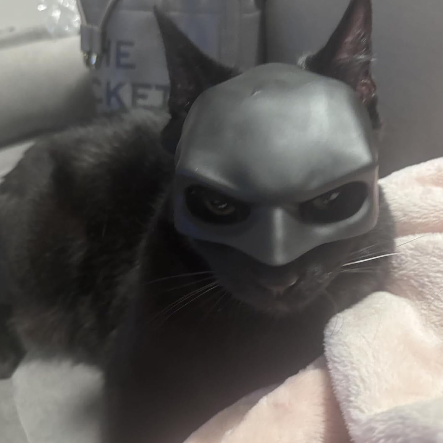 Cat Mask Cosplay, Cat Halloween Costumes, Funny Cat Costumes Accessories