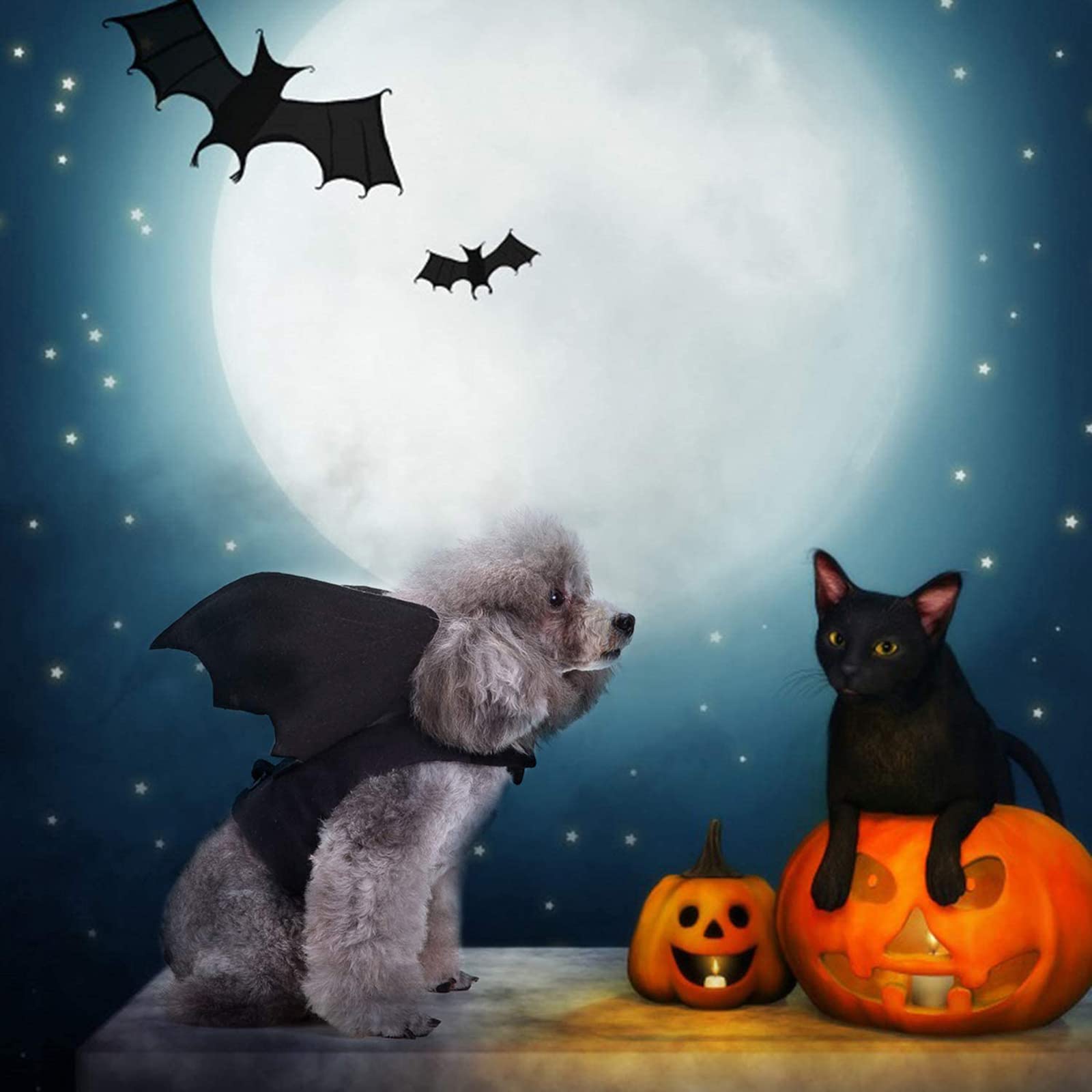 Halloween Bat Wings Pet Costumes for Halloween Party