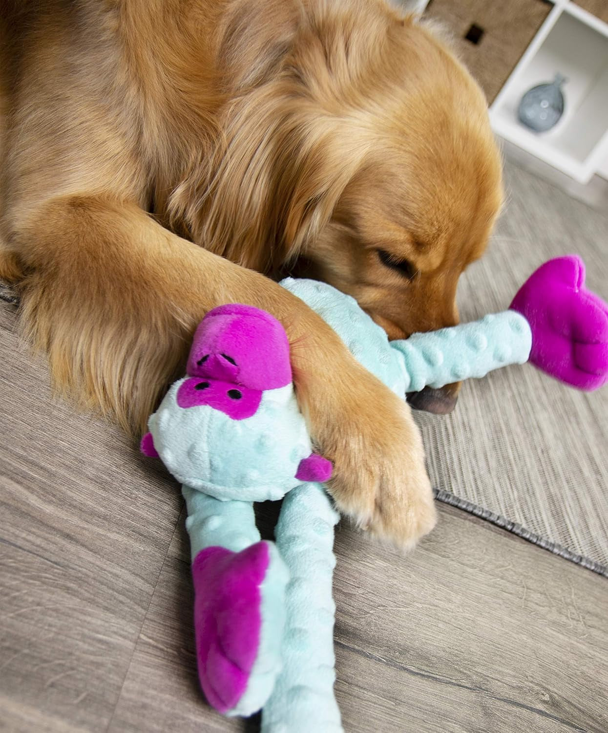 Crazy Tugs Large Turquoise Monkey Squeaky Plush Tug Dog Toy with Chew Guard Technology