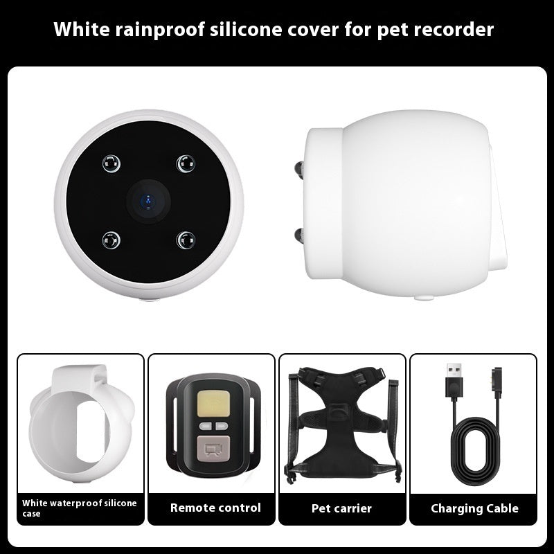 Dogs And Cats Viewing Angle Motion Recording Camera Action