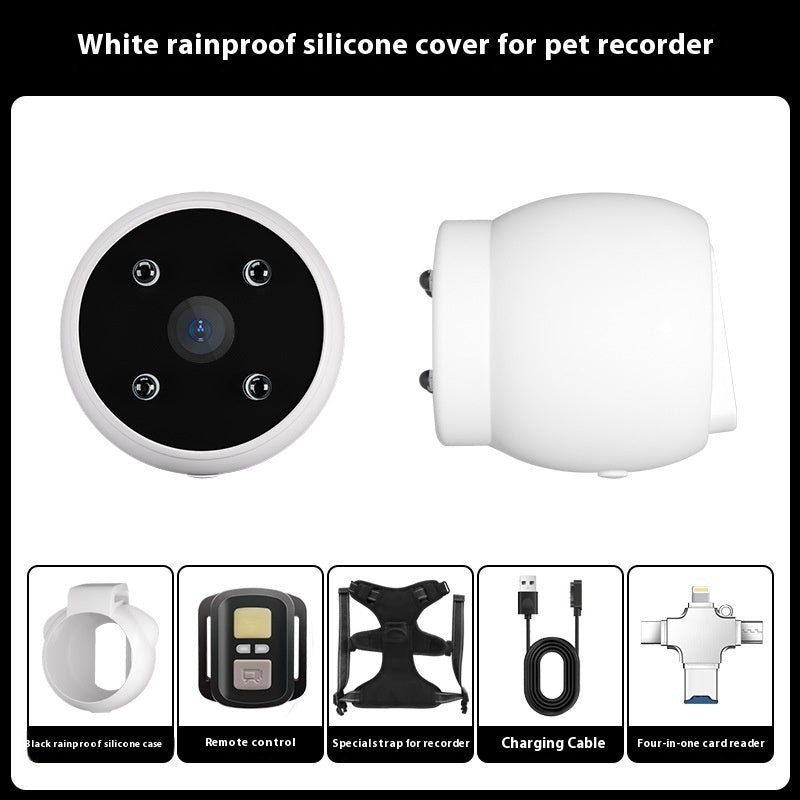 Dogs And Cats Viewing Angle Motion Recording Camera Action