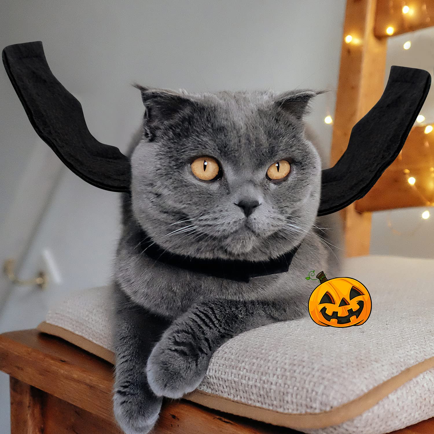 Halloween Bat Wings Pet Costumes for Halloween Party