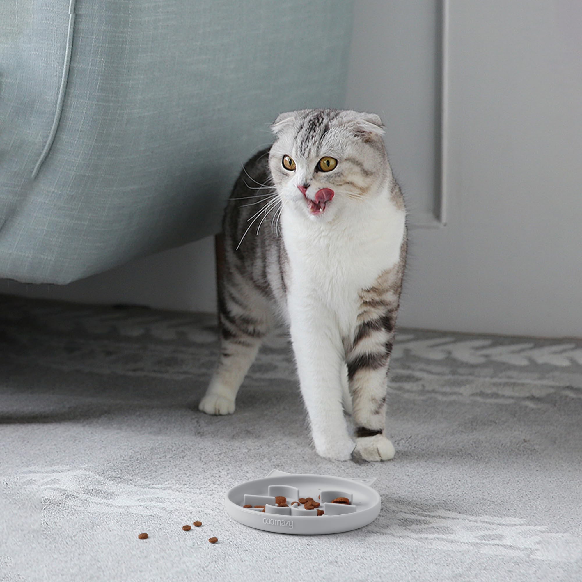 Coomazy Silicone Slow Feeder Dog Cat Bowls