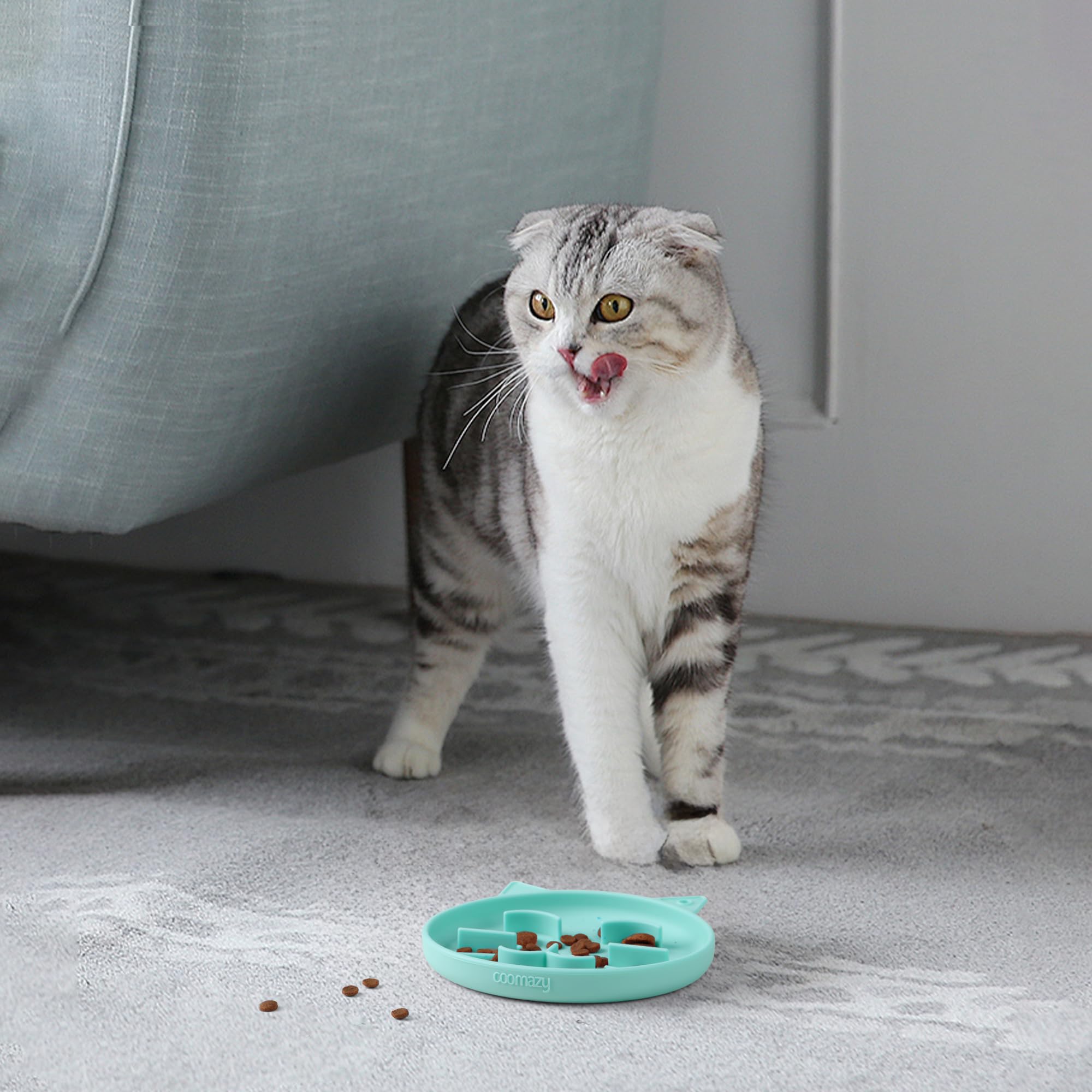 Coomazy Silicone Slow Feeder Dog Cat Bowls