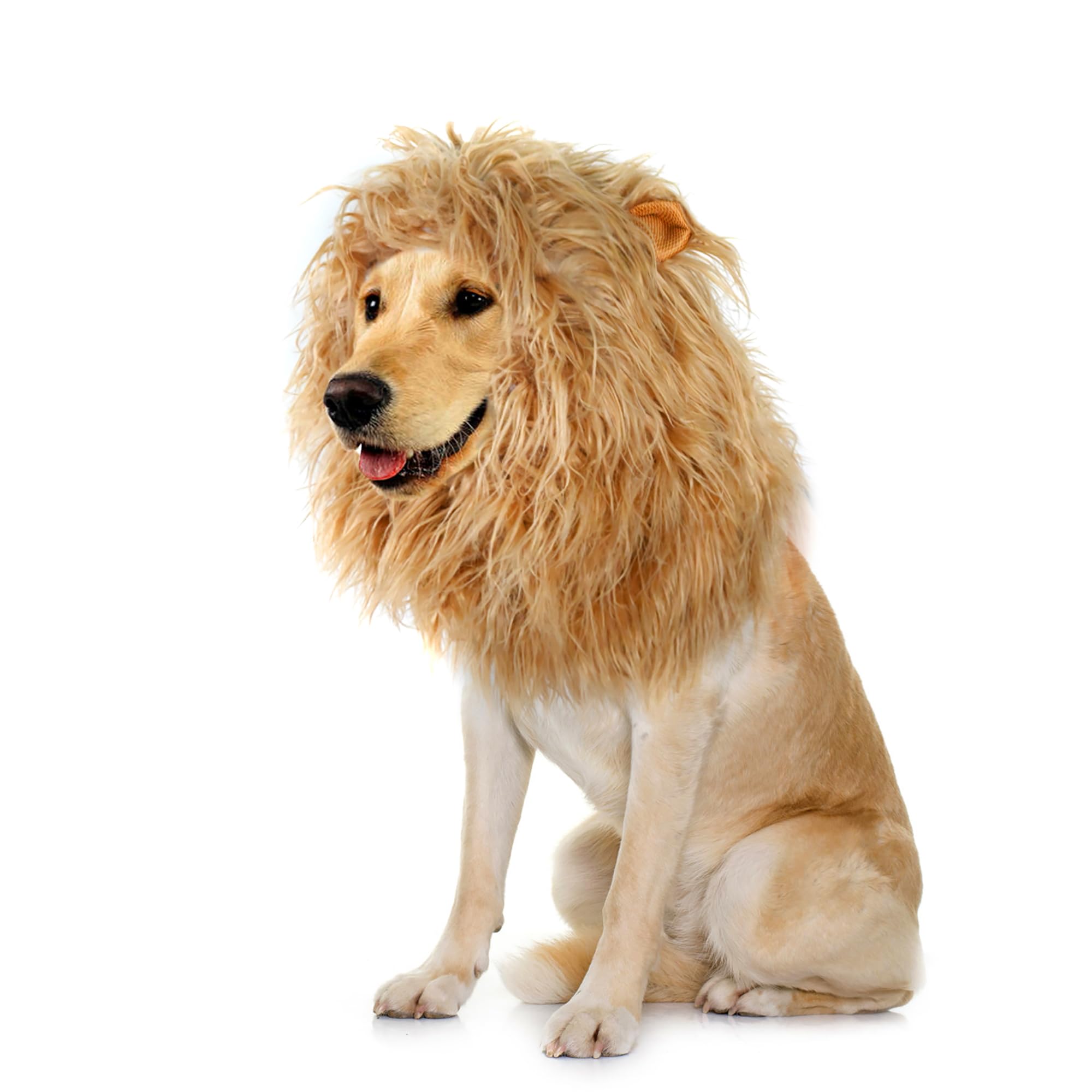 Lion Mane Wig for Dogs with Ears, Funny Pet Costumes for Halloween