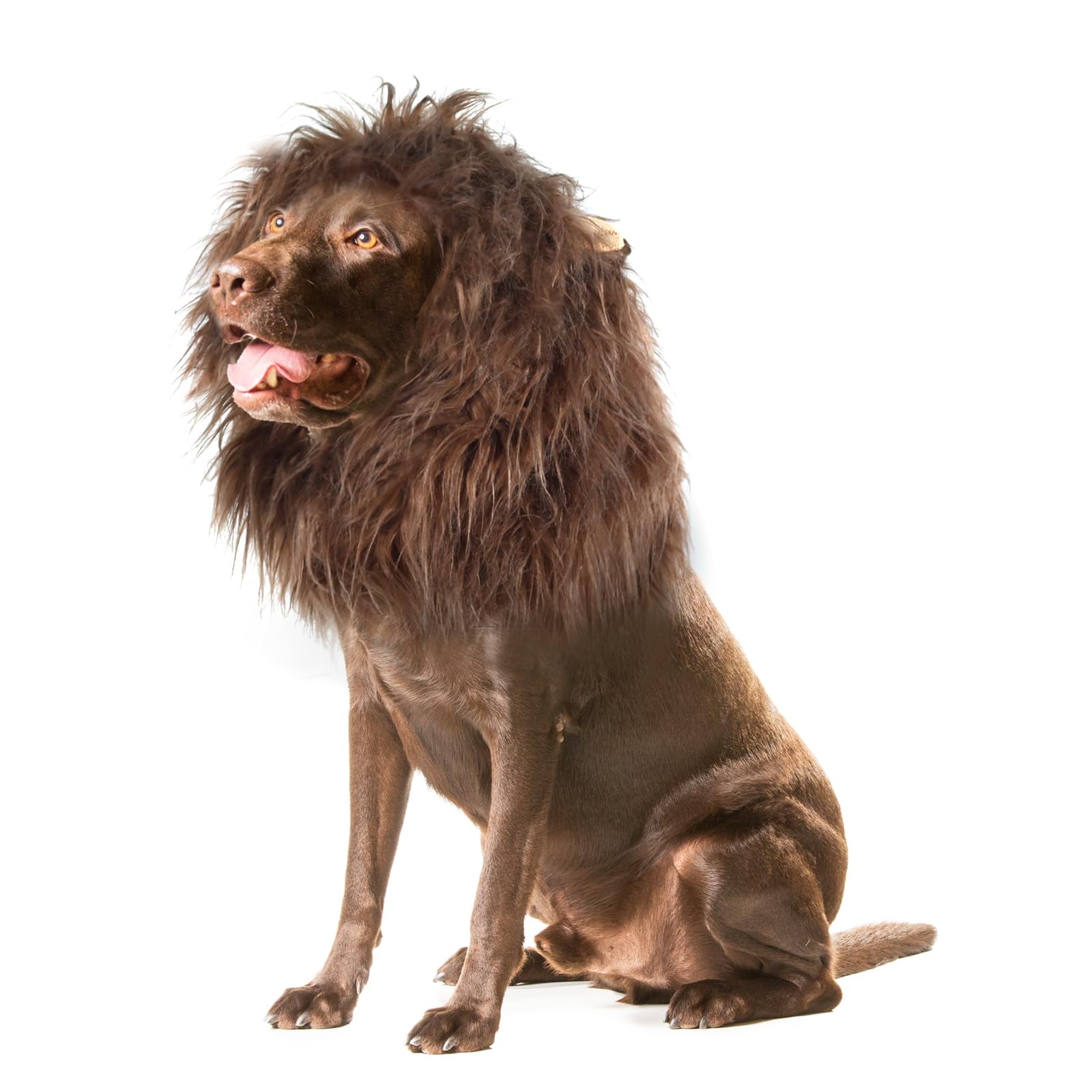 Lion Mane Wig for Dogs with Ears, Funny Pet Costumes for Halloween