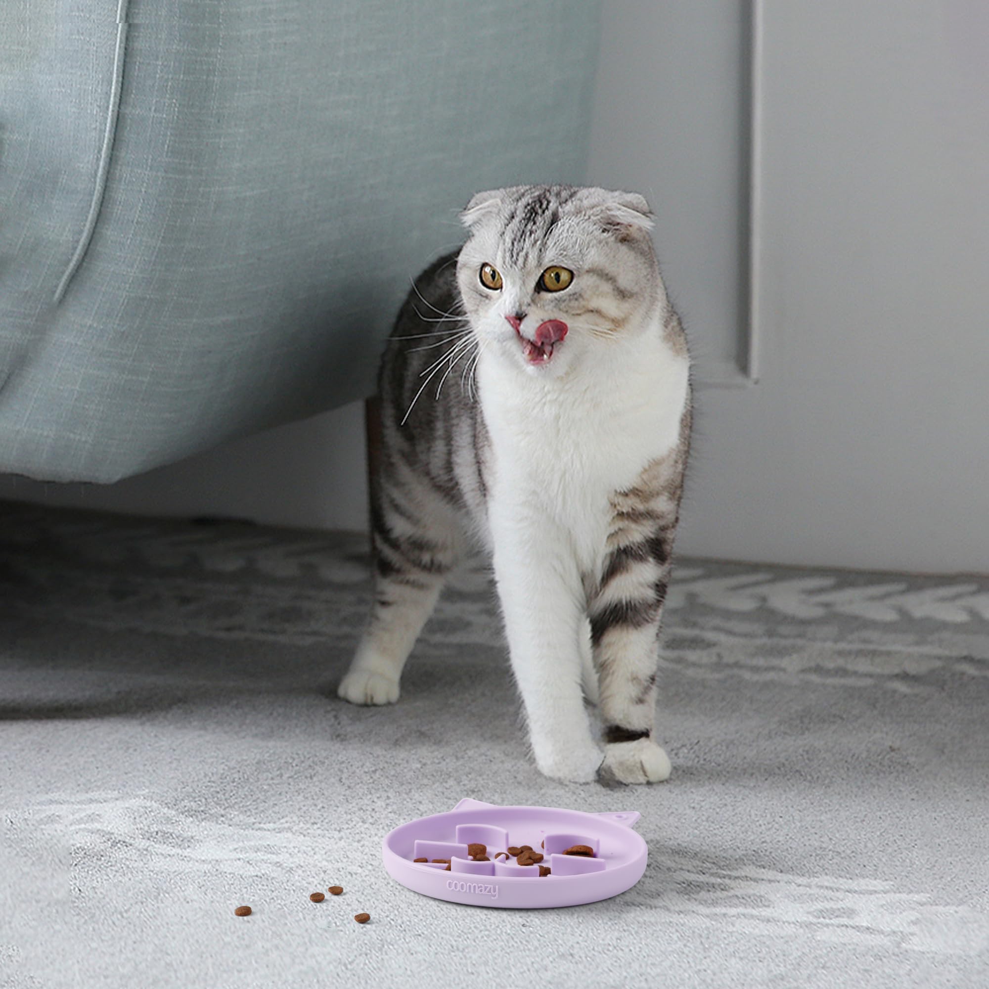 Coomazy Silicone Slow Feeder Dog Cat Bowls