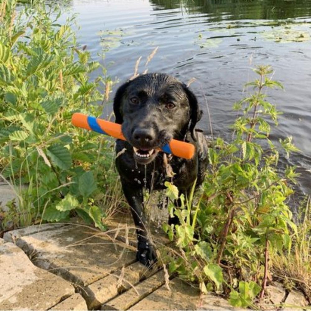 Chuckit! Interactive Dog Toy Ultra Fetch Stick