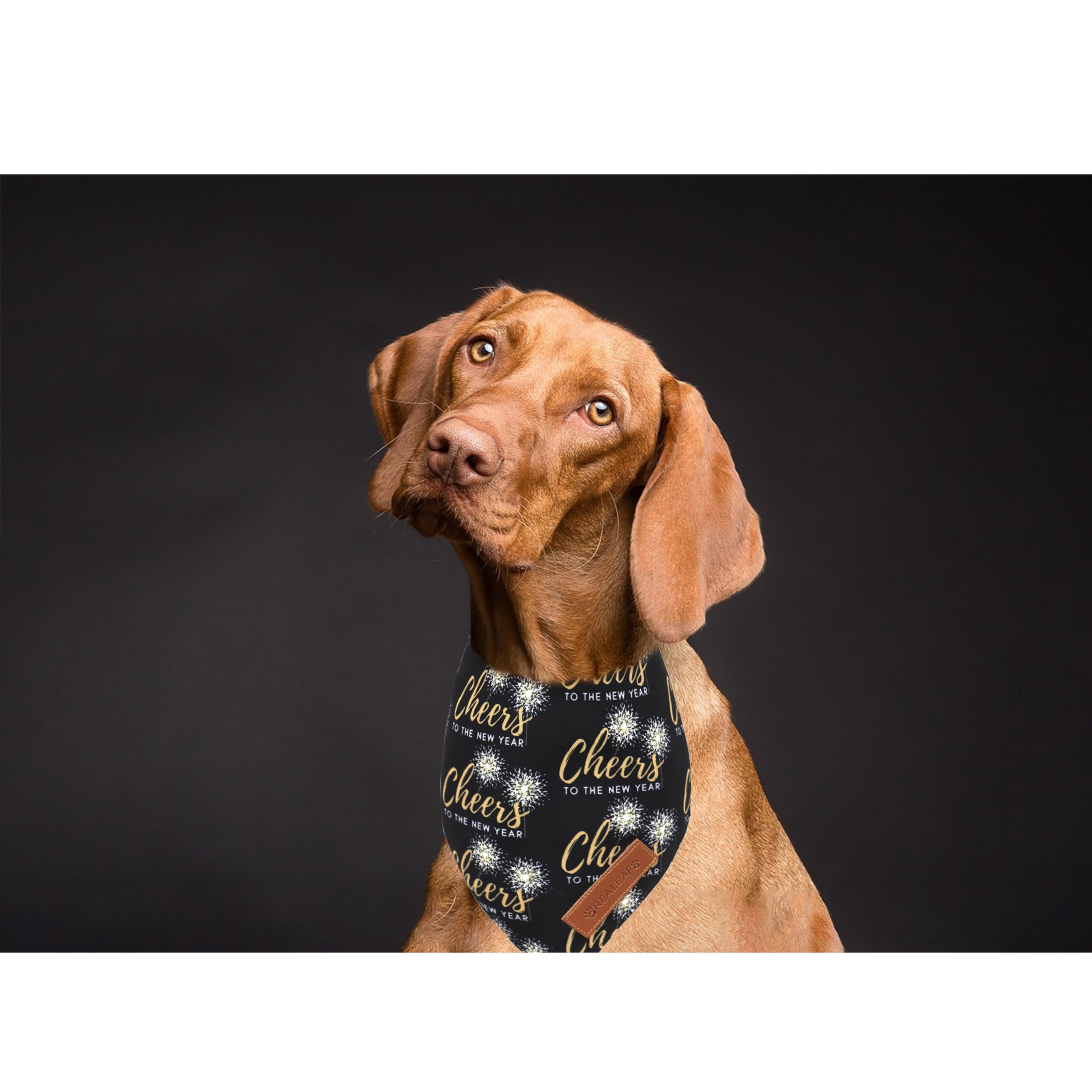 Realeaf Fall Dog Bandanas 2 Pack, Reversible Orange Plaid Holiday Pet Scarf