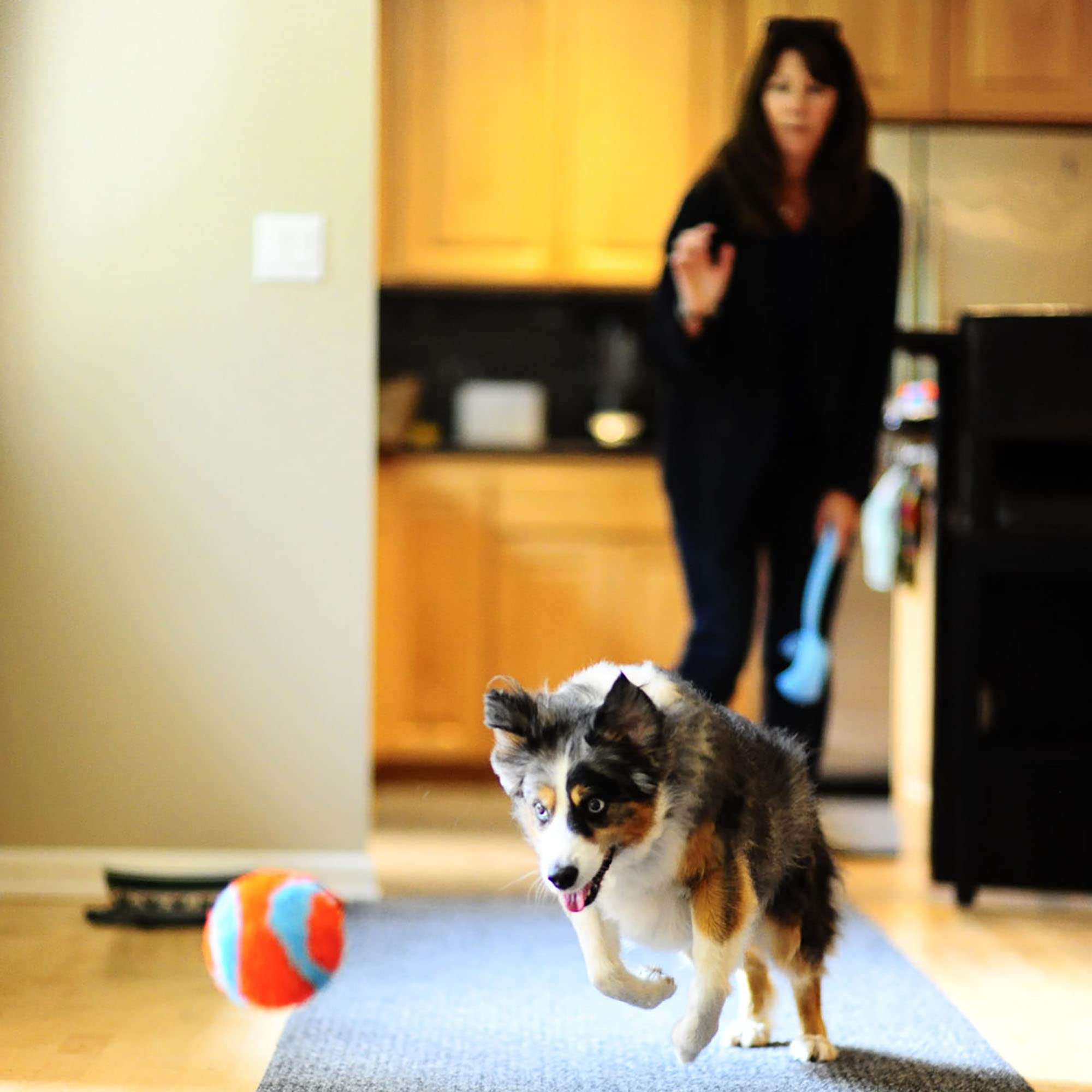 Chuckit! Indoor Fetch Ball Dog Toy for Dogs , 4.75 Inch