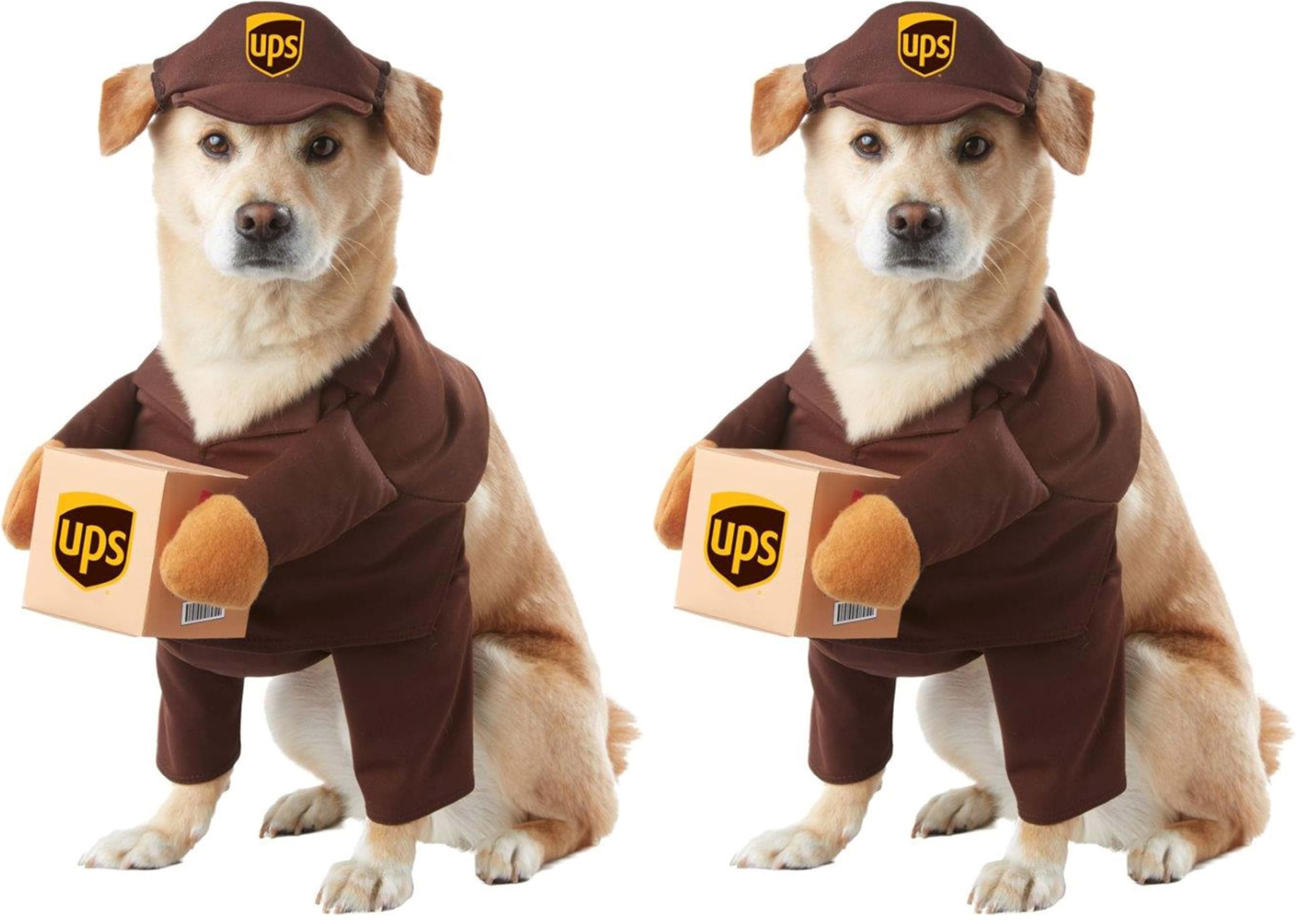 UPS Pal, Dog Costume, Large