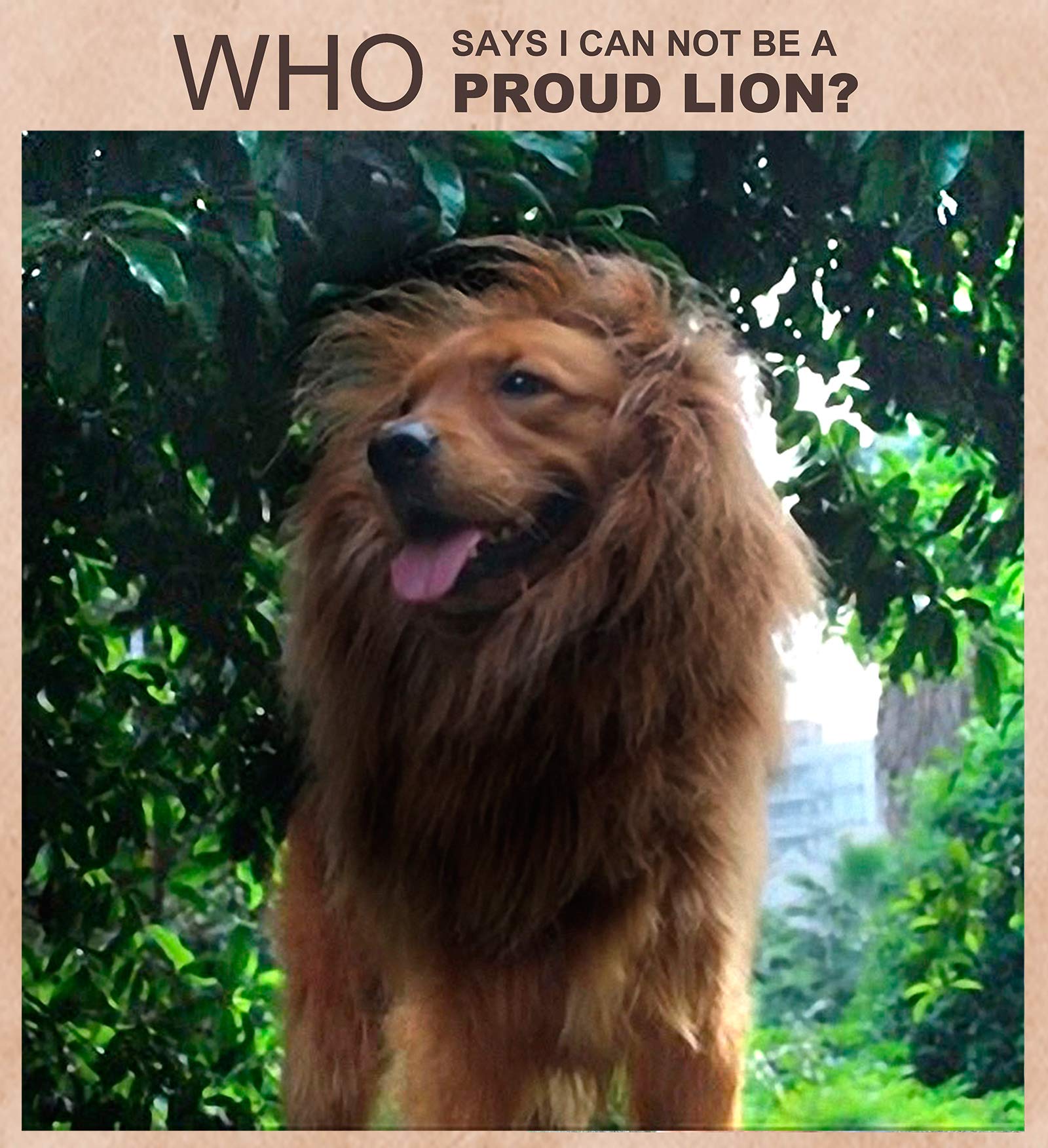 Lion Mane Wig for Dogs with Ears, Funny Pet Costumes for Halloween