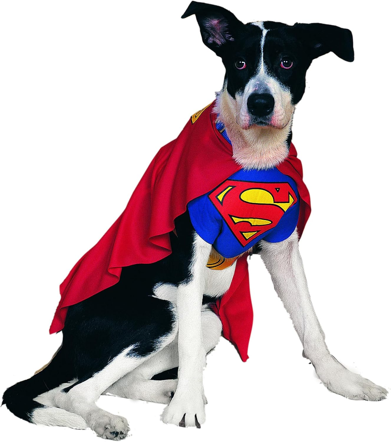 DC Comics Superheroes: Superman Pet Costume