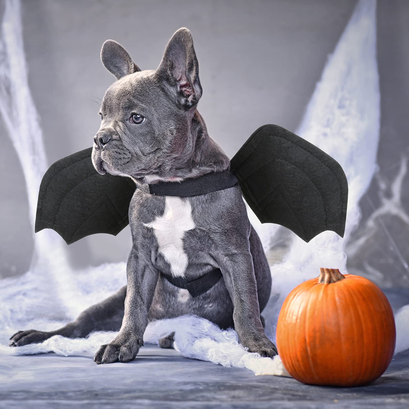 Halloween Bat Wings Pet Costumes for Halloween Party