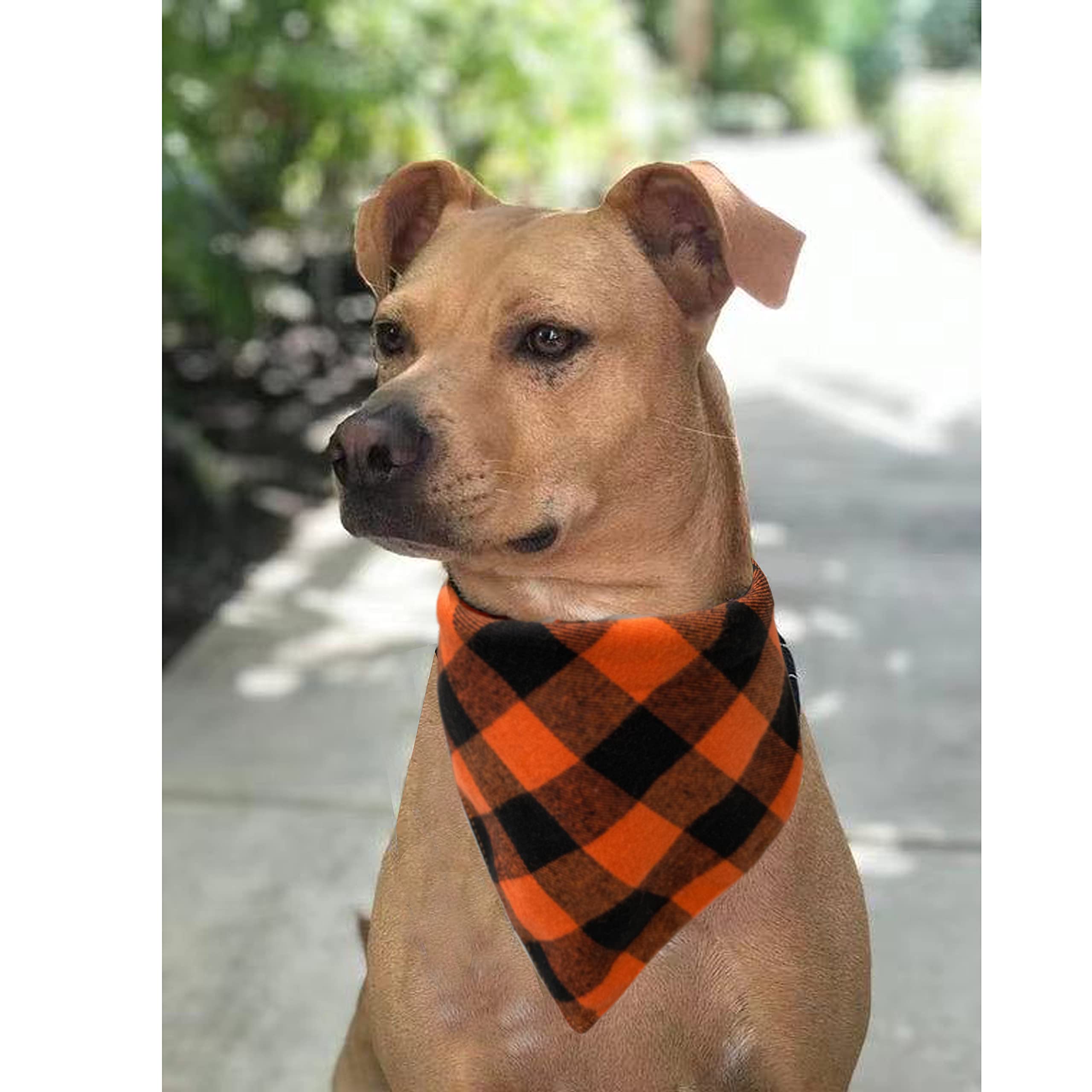 Realeaf Fall Halloween Dog Bandanas 2 Pack