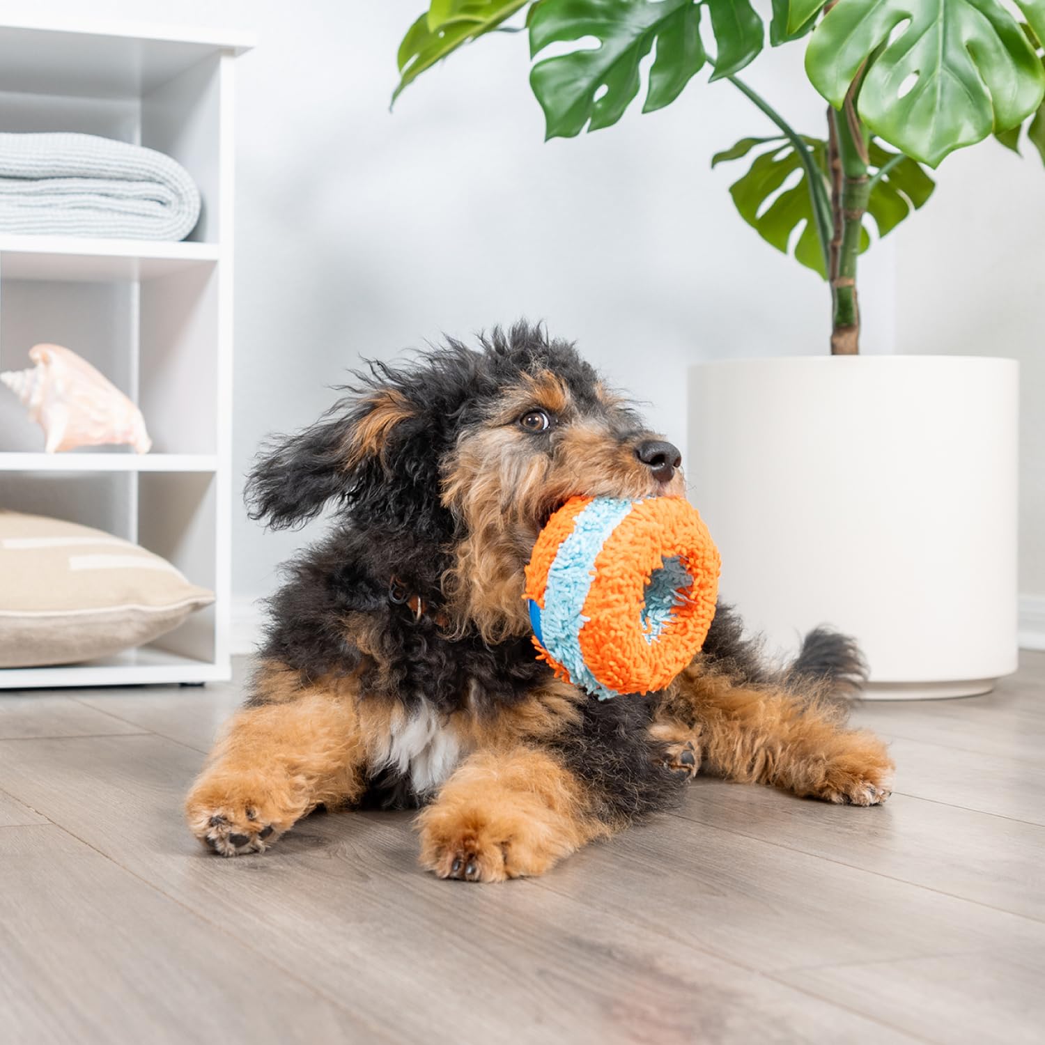 Chuckit! Indoor Fetch Ball Dog Toy for Dogs , 4.75 Inch