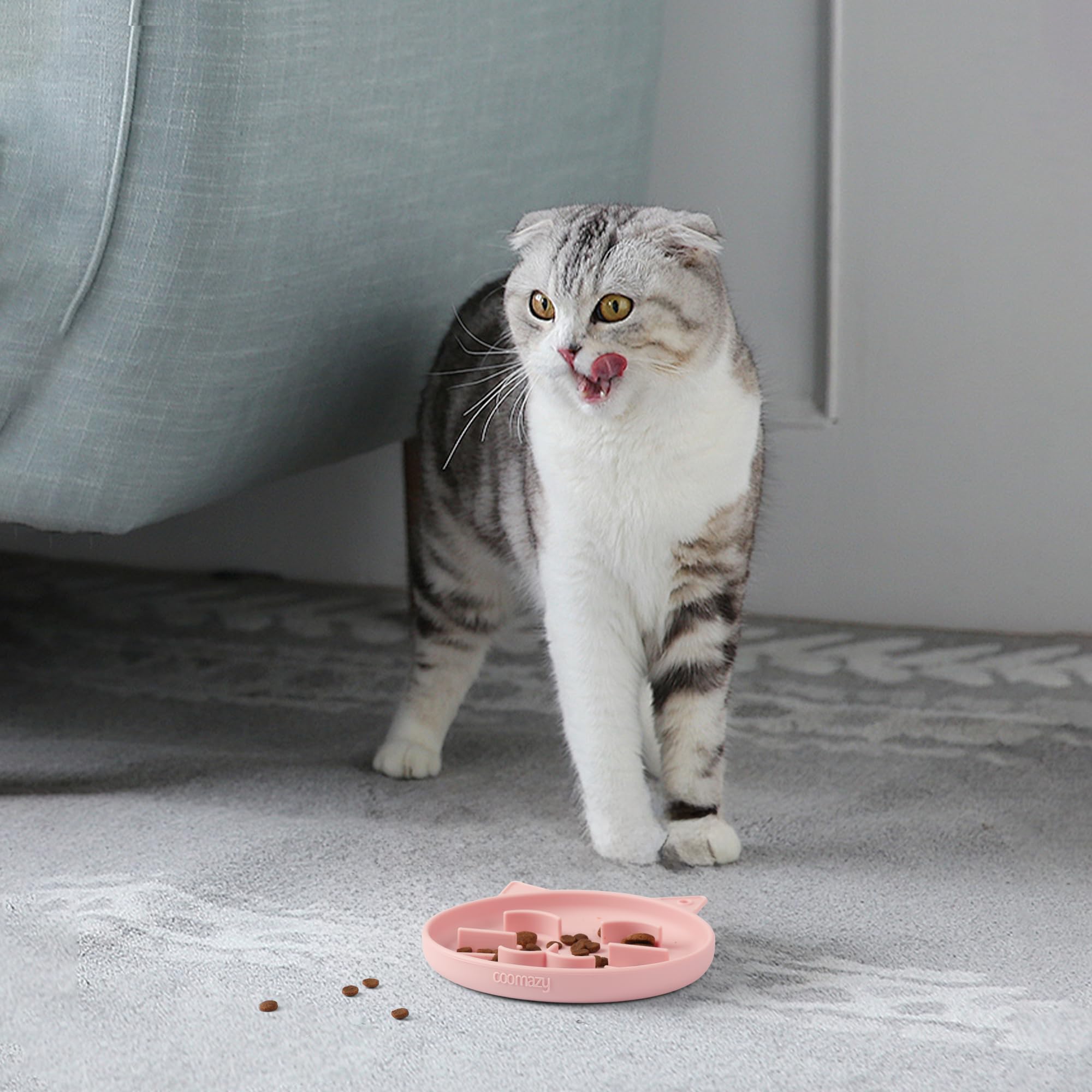Coomazy Silicone Slow Feeder Dog Cat Bowls