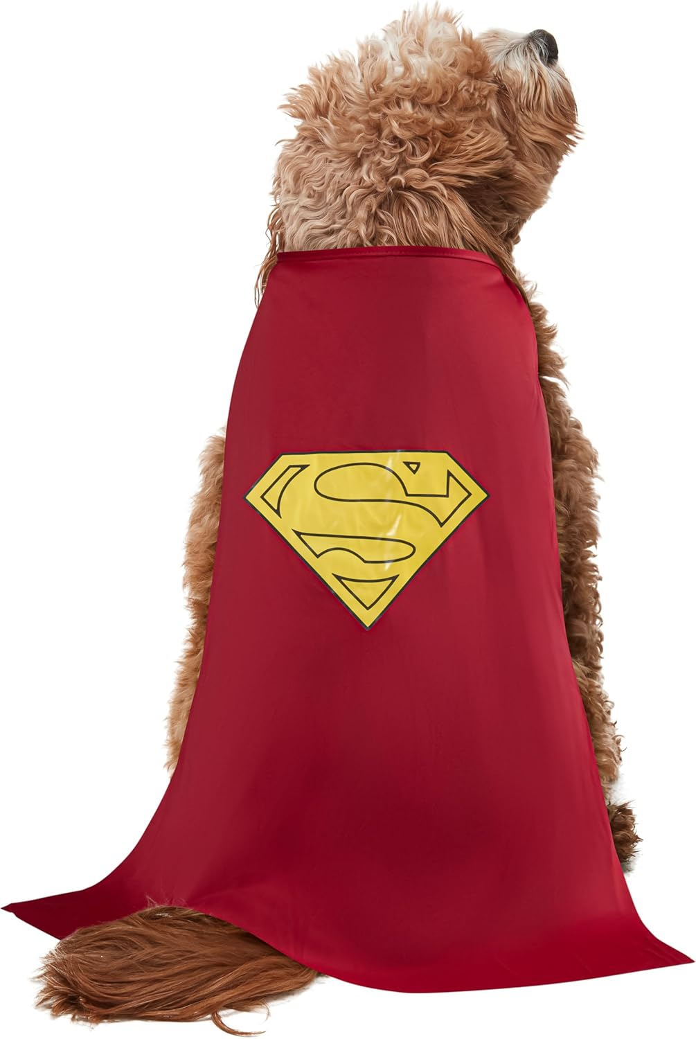 DC Comics Superheroes: Superman Pet Costume