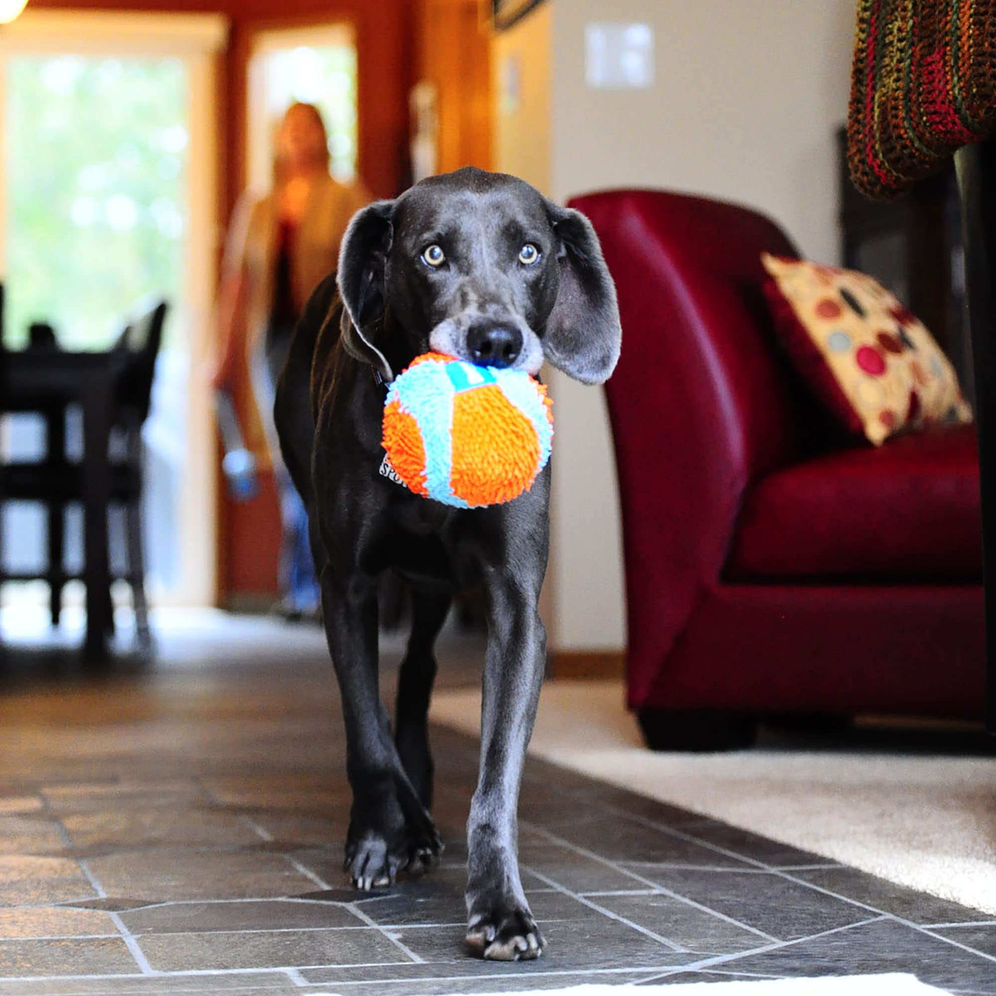 Chuckit! Indoor Fetch Ball Dog Toy for Dogs , 4.75 Inch