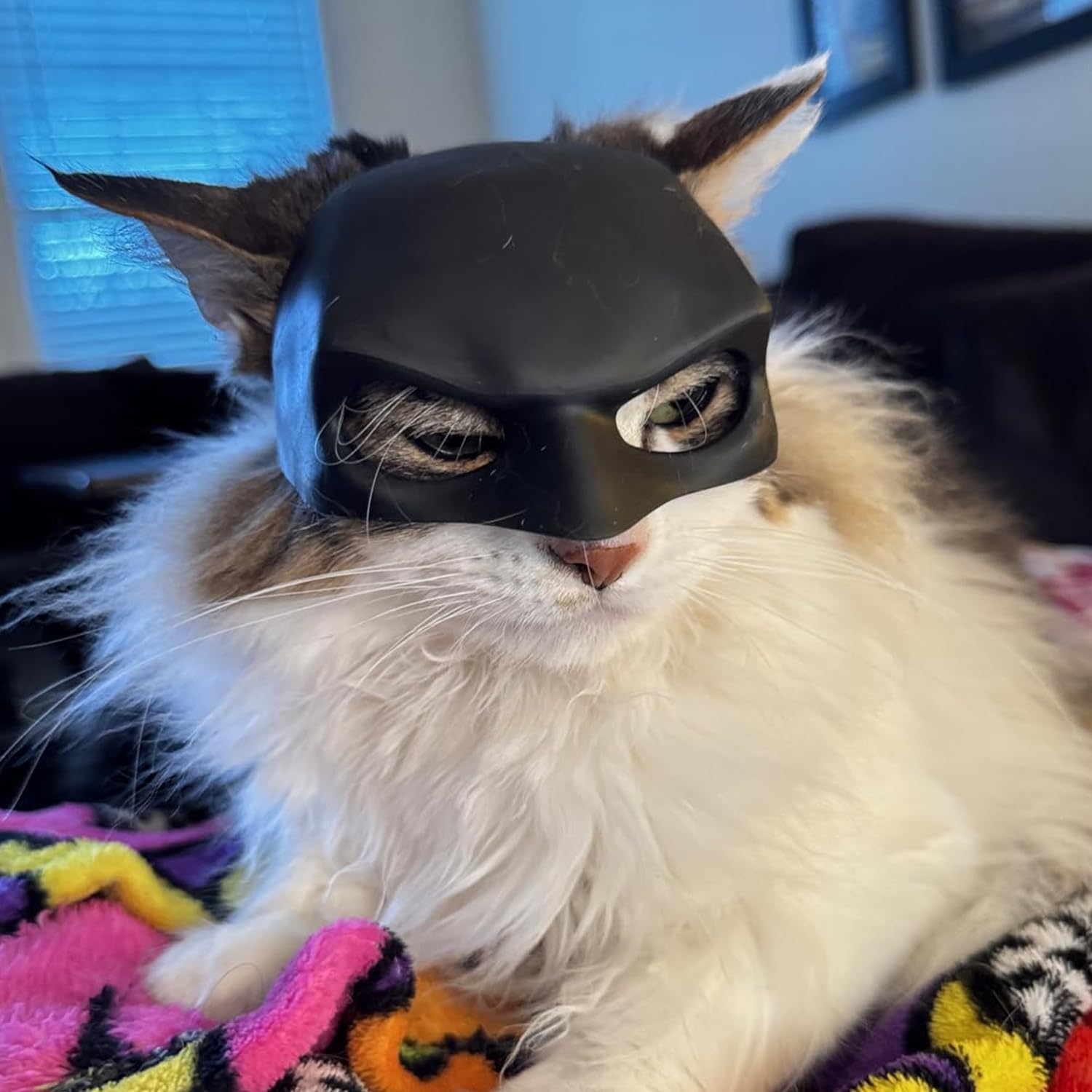 Cat Mask Cosplay, Cat Halloween Costumes, Funny Cat Costumes Accessories