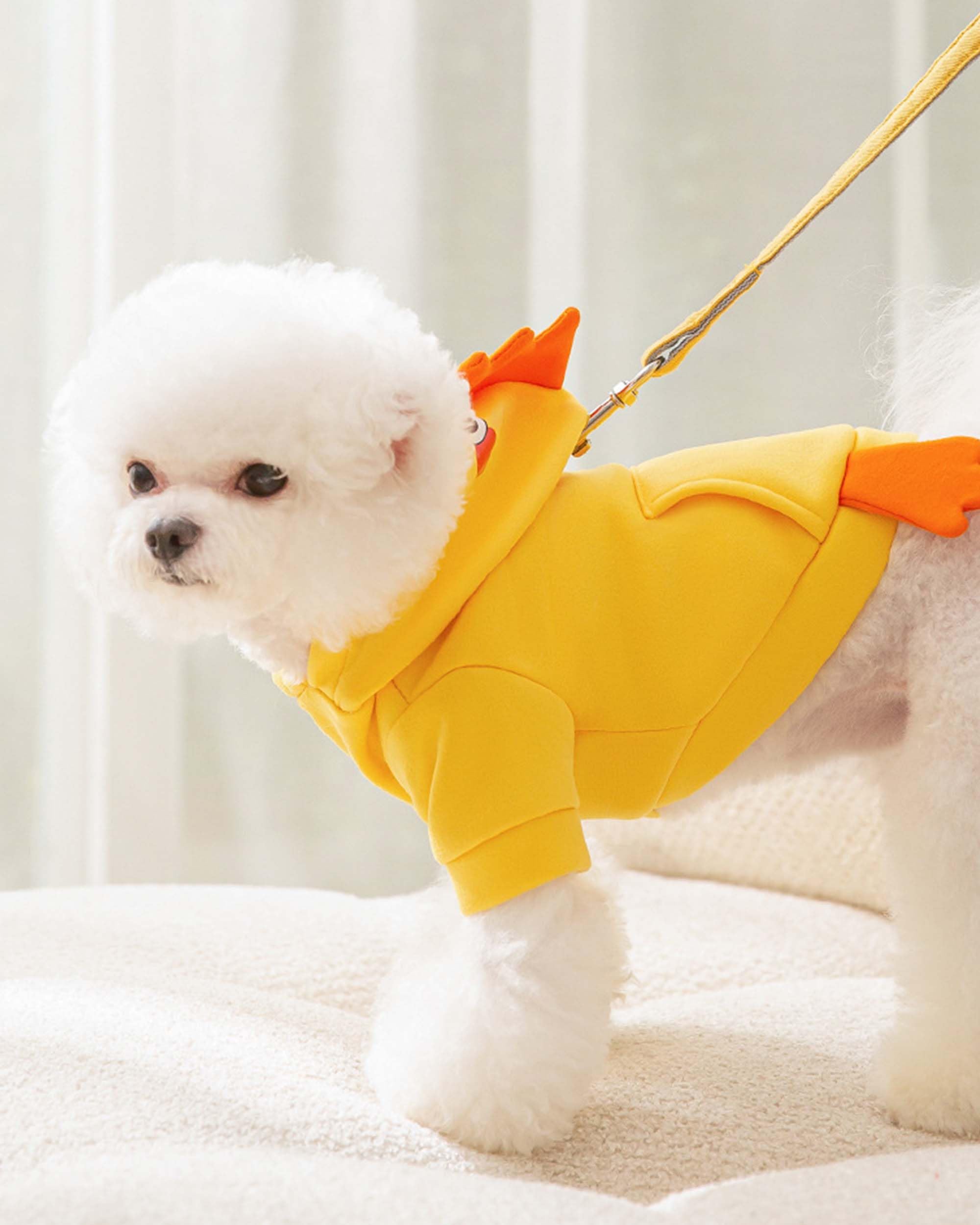 Halloween Pet Chicken Costume Outfits for Small Dog