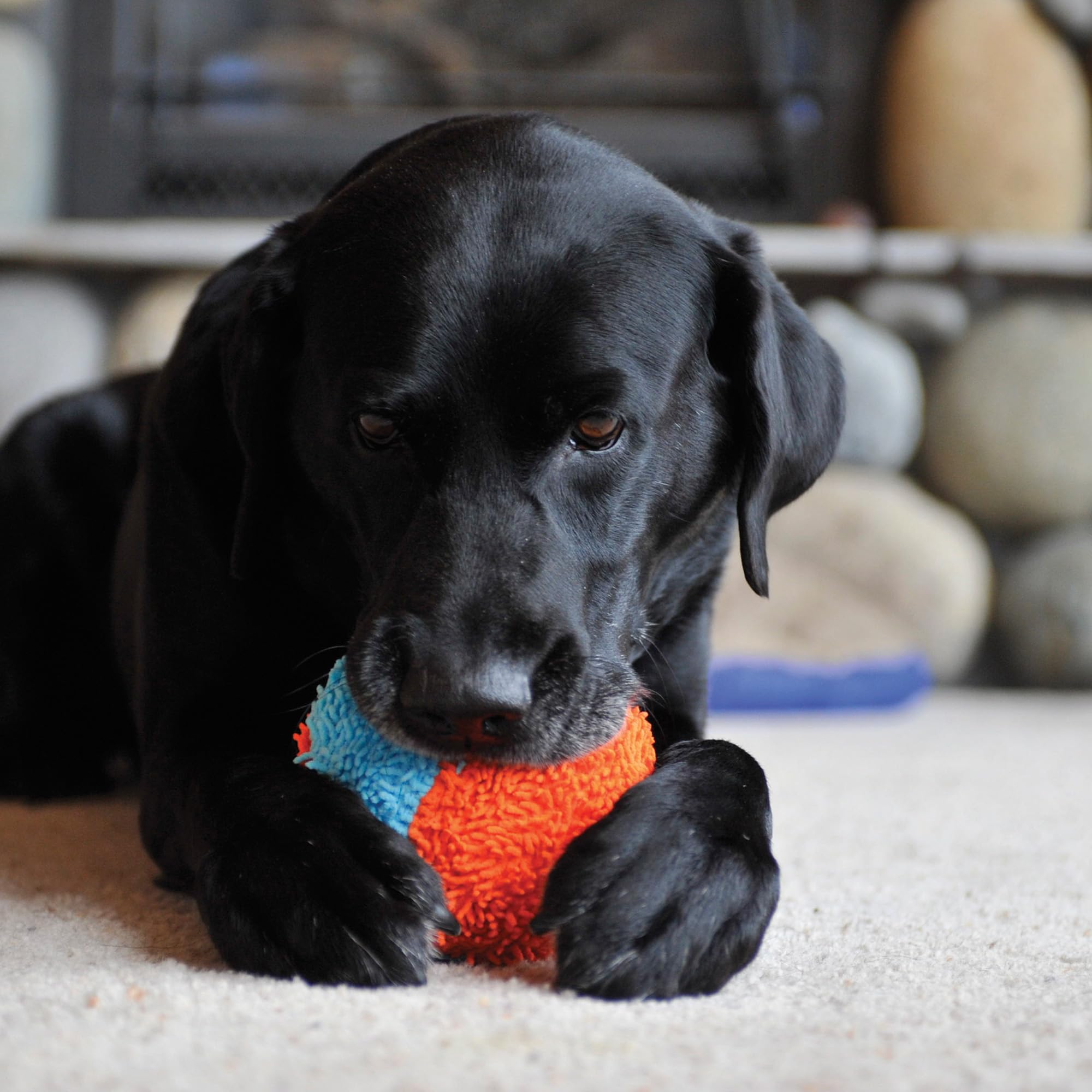 Chuckit! Indoor Fetch Ball Dog Toy for Dogs , 4.75 Inch