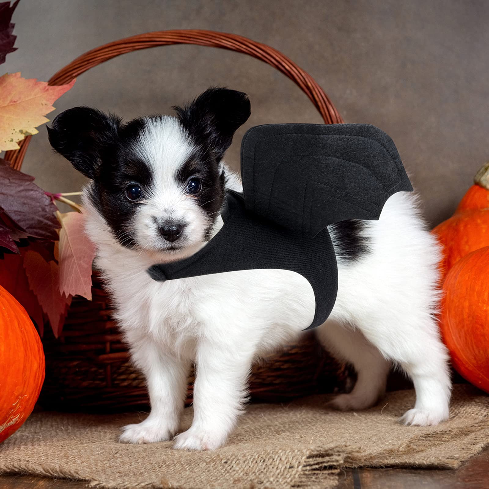 Halloween Bat Wings Pet Costumes for Halloween Party