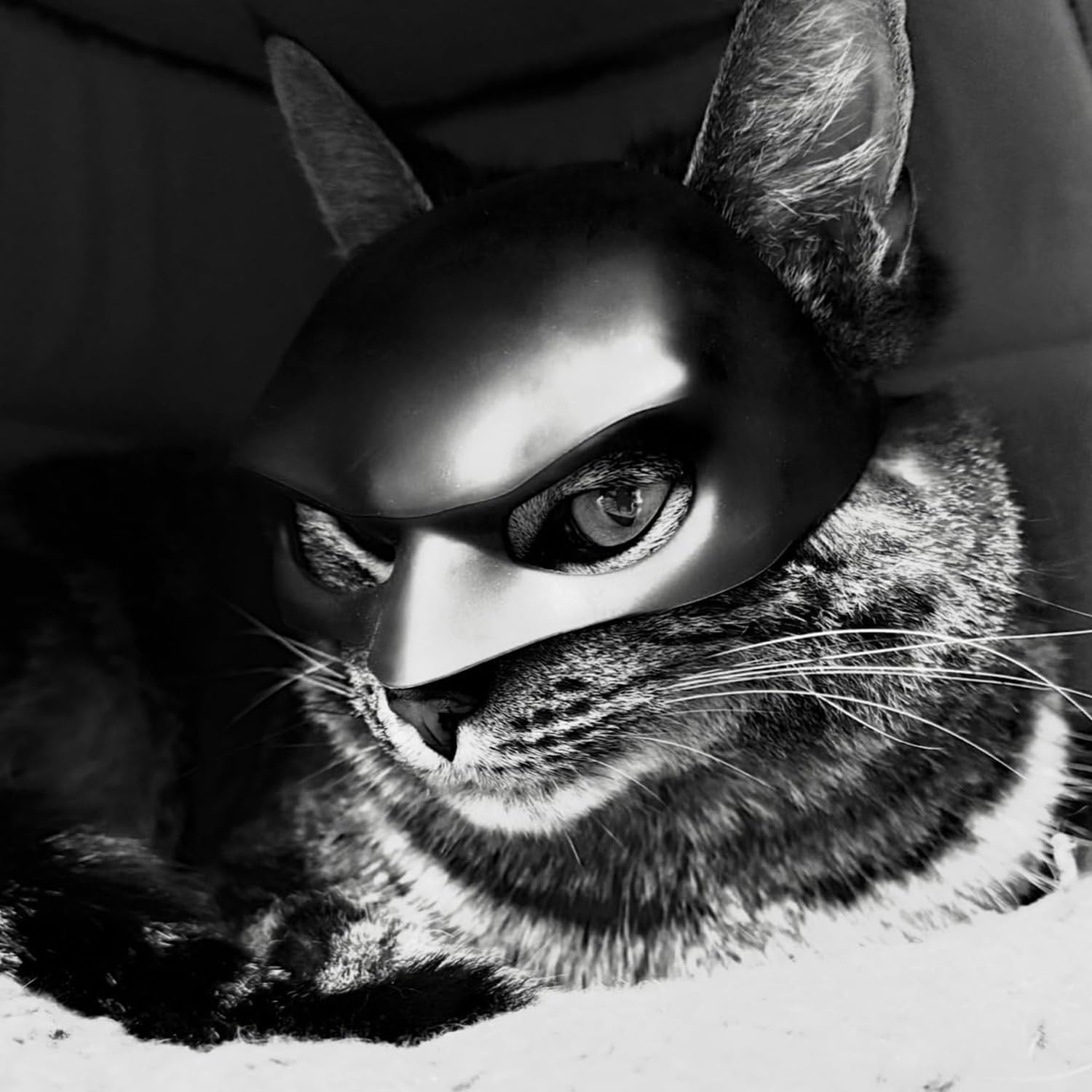 Cat Mask Cosplay, Cat Halloween Costumes, Funny Cat Costumes Accessories