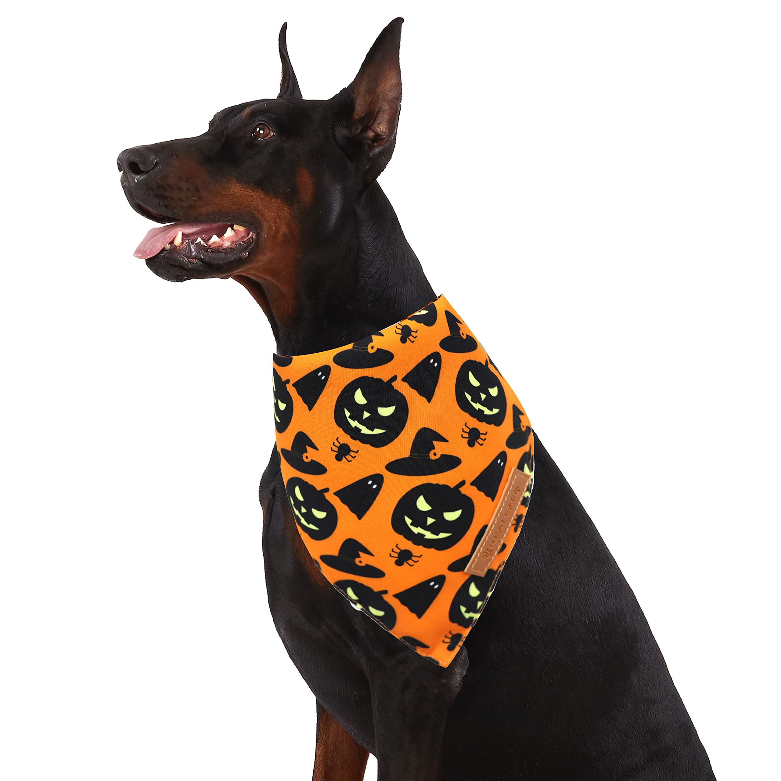 Realeaf Halloween Dog Bandanas 2 Pack
