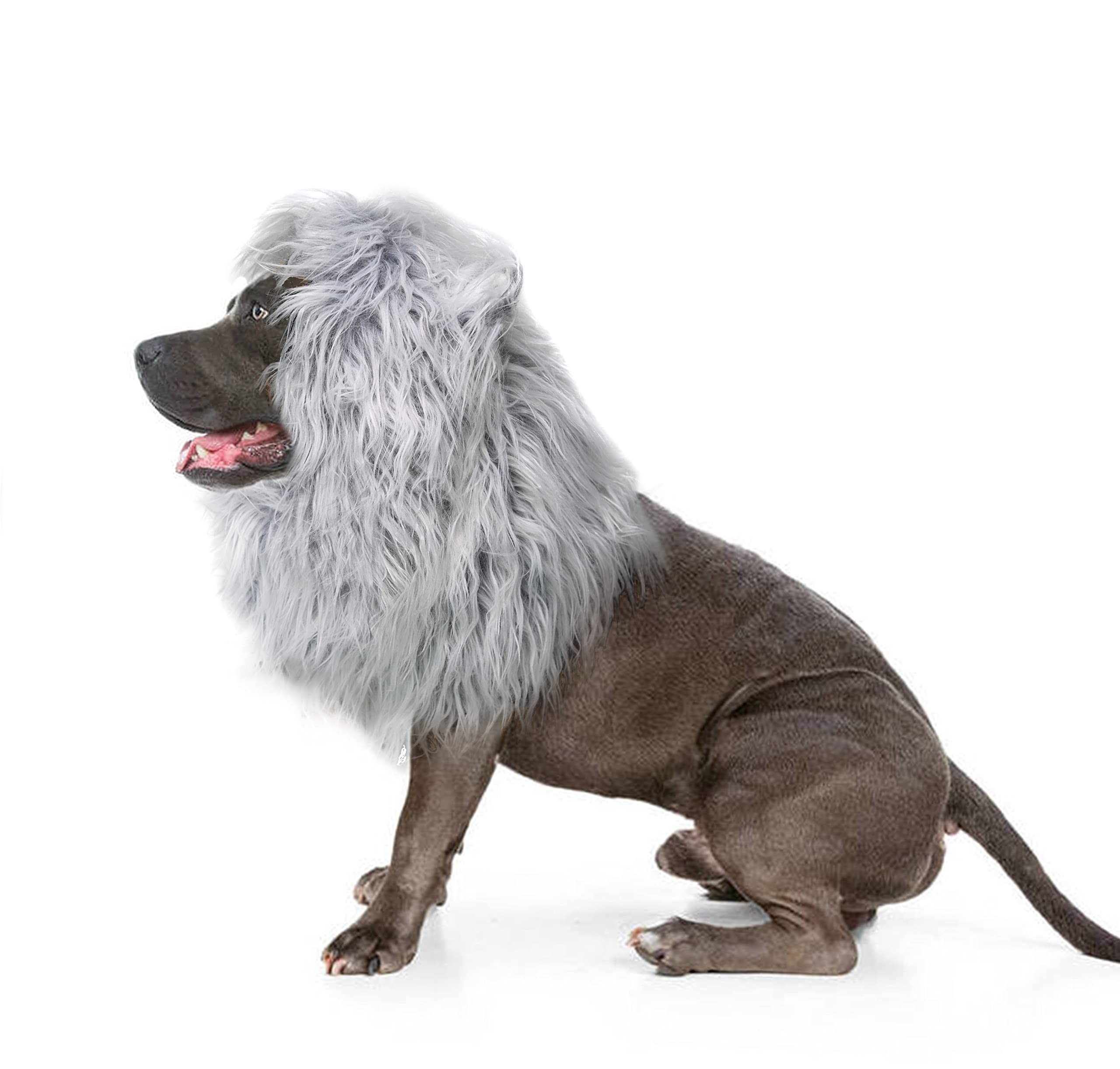 Lion Mane Wig for Dogs with Ears, Funny Pet Costumes for Halloween