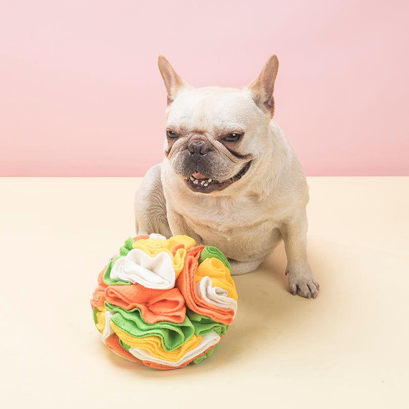 Snuffle Ball Interactive Dog Toys/ Brain Mental Stimulating Puzzle Toys for Dogs Enrichment/ Machine Washable (Color Options)