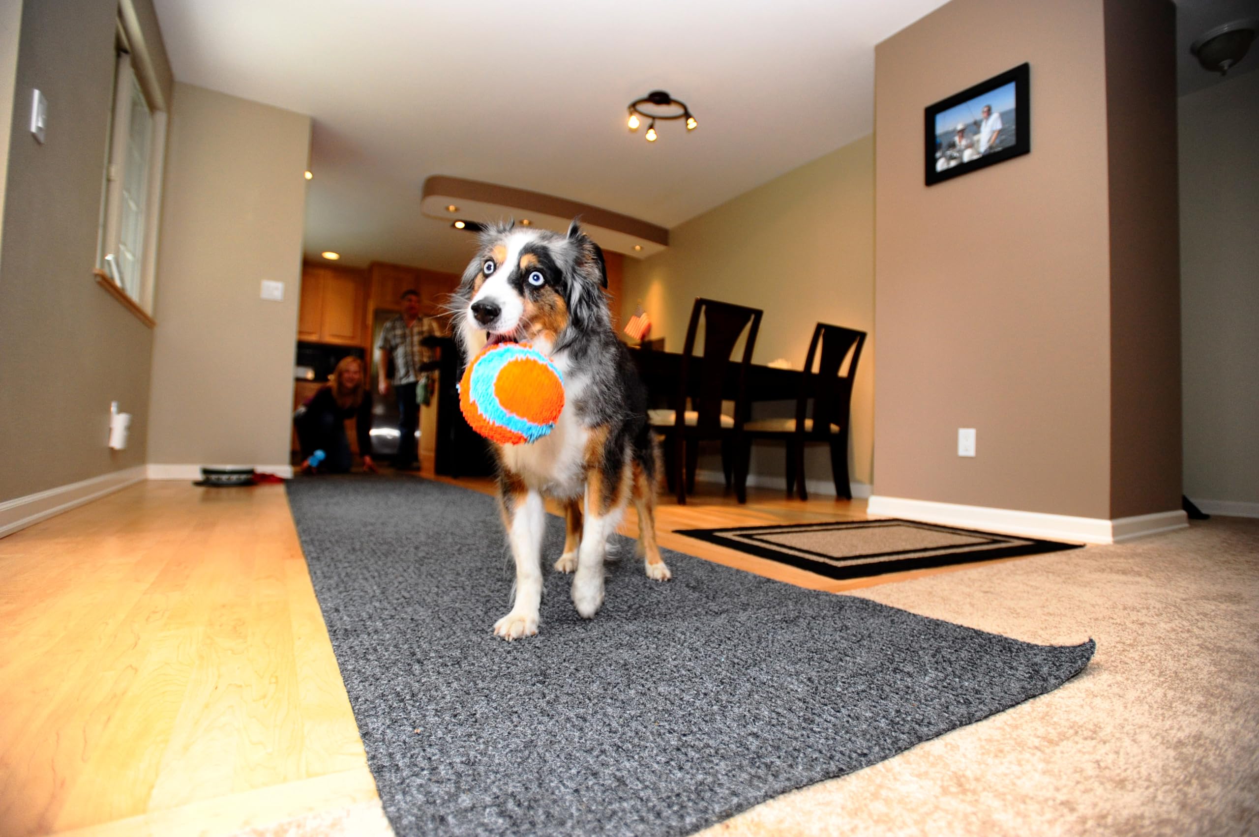 Chuckit! Indoor Fetch Ball Dog Toy for Dogs , 4.75 Inch